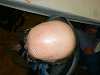 Cliquez ici pour voir l'image (cam-67.jpg)